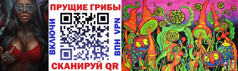 Купить закладки  Тихорецк  Галлюциногенные грибы прущие грибы 