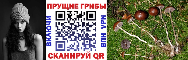 Галлюциногенные грибы Magic Shrooms Тихорецк